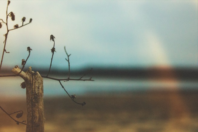 9072136080_be9f9883f9_o