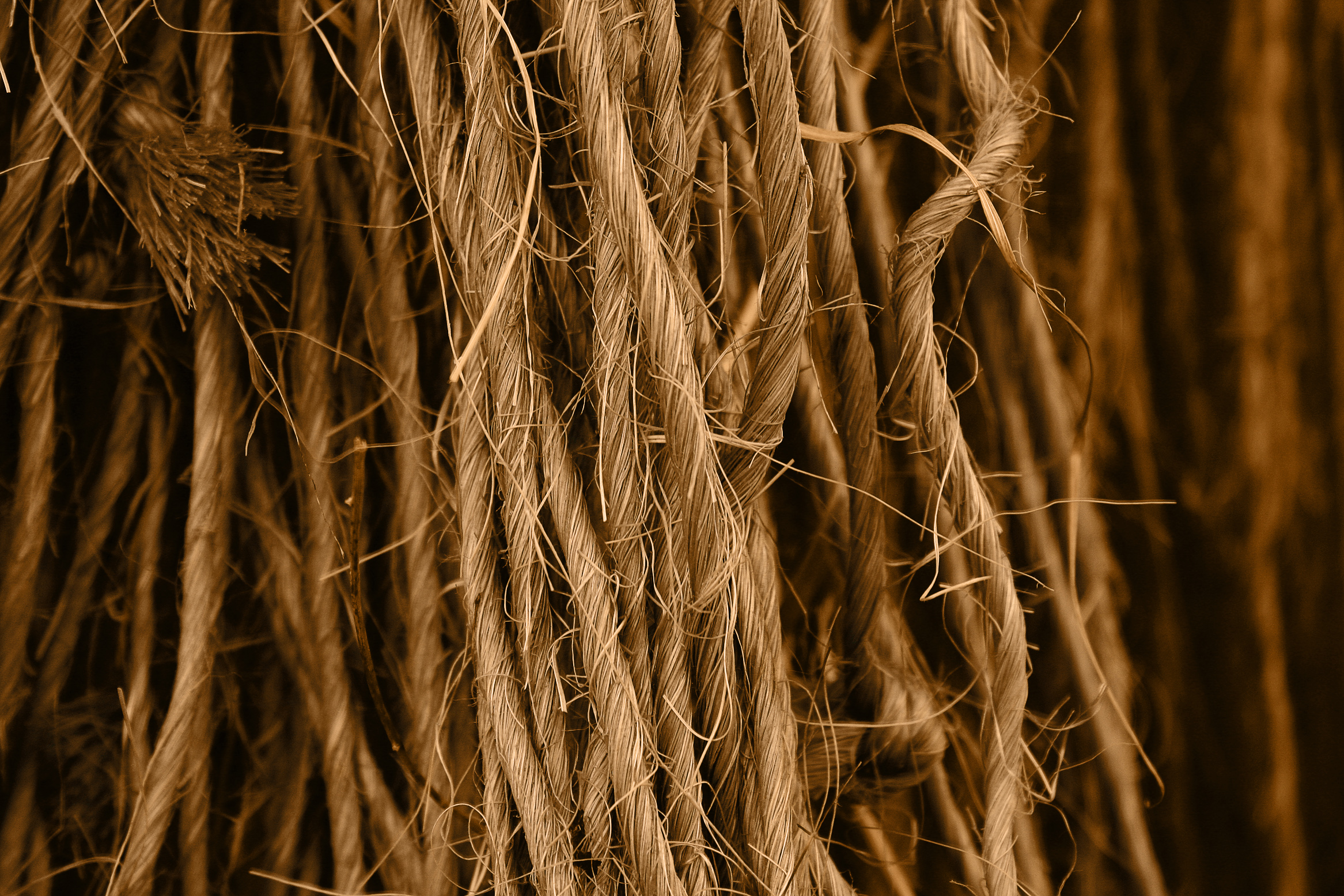 5634660787_3c24482a86_o